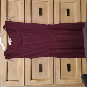 Loft burgandy dress 100% cotton. MED